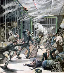 Het incident in de menagerie, Montceau-les-Mines, Frankrijk