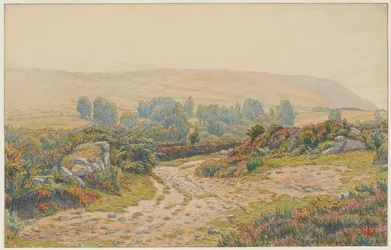 Nevel en dauw. Heidevelden van Pors Léonnec. Morgat
