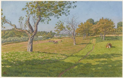 Velden bij Auffay