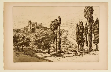 De basiliek van Assisi gezien vanaf La Rocca