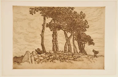 [Oude vrouw met een bundel takken bij een rij bomen]