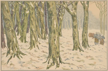 Het bos, winter