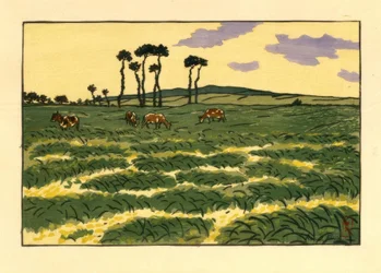 Koeien in het veld van de Garde-Guérin (Saint-Briac)
