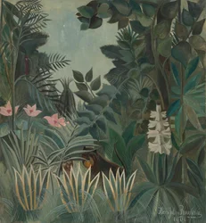De equatoriale jungle, 1909