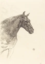 Oud Paard Le vieux cheval