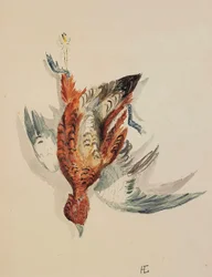 Rivierrood, ca. 1877-80