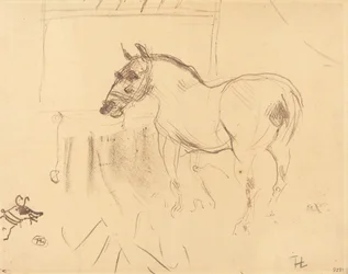 De kleine pony van Calmèse