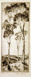 Gomboom
