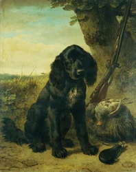 Een flatcoated retriever bij een boom