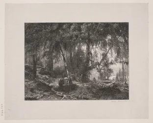 Deens: Bos interieur