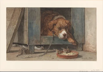Kat bespiedt vogels bij een slapende hond