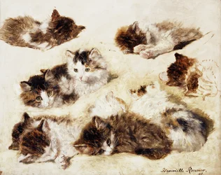 Een Studie van Kittens, 1898