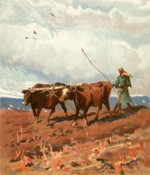 Ploegen