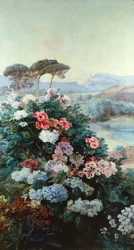 Camellia