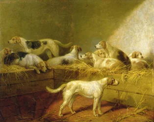 Een jachtkennel (olieverf op doek)