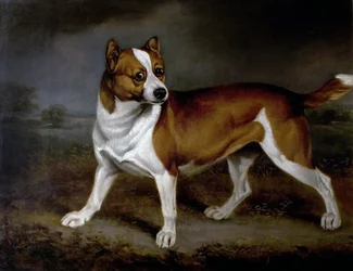 Brandnetel, 1812