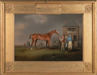 Quiz, na zijn laatste race op Newmarket