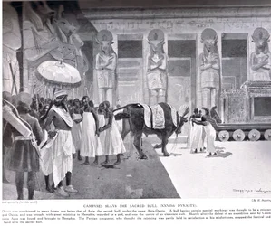 Cambyses doodt de Heilige Stier, illustratie uit 