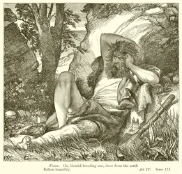 Timon van Athene