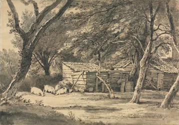 Boerderij met Varkens die Voedsel Zoeken