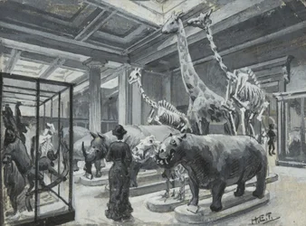 Interieur van het British Museum met de galerij met dierententoonstellingen, ca. 1880