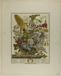 Augustus, uit Twaalf maanden bloemen
