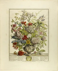 Juli, van Twaalf maanden bloemen