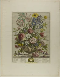 Juni, uit Twaalf Maanden van Bloemen