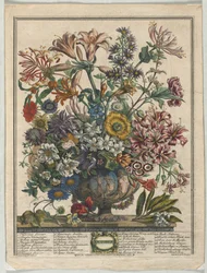 Twaalf Maanden Bloemen: Oktober, 1730