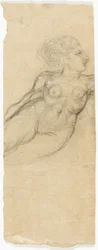 Studies van naakten