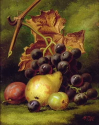 Stilleven