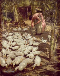 De Kleine Boerderij, 1896
