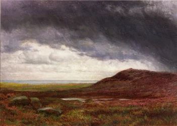 Heidelandschap
