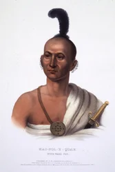 Kai-Pol-E-Quah, witneusvos