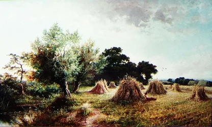 De middagrust