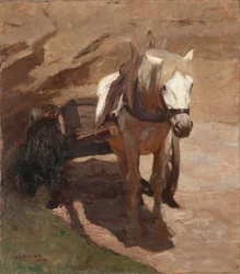 In de Zandkuil