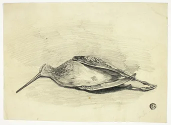 Dood korhoen