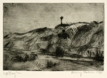 Duinlandschap met zeemerk