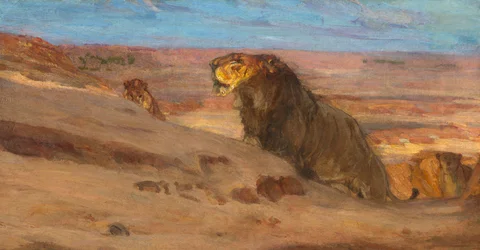 Leeuwen in de woestijn