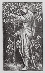 Vrouw die een driehoek speelt (gravure)