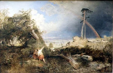 Regenboog