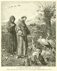 St. Franciscus die predikt tot de Vogels