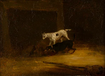 Twee terriërs proberen bij een rat in een val te komen, c.1805-51