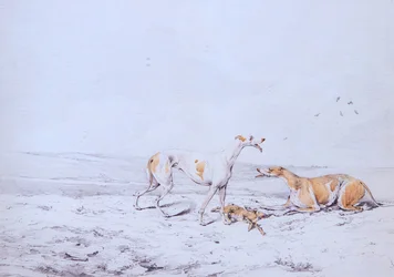 Coursing, een paar