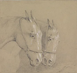 Koppen en halzen van twee paarden met hoofdstellen, rechterprofielen