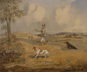 Patrijs jacht