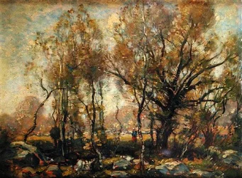 Figuur in een bebost landschap