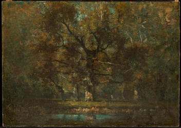 Eikenboom