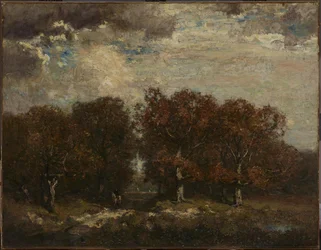 Het pad door het bos