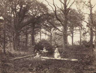 Landschap